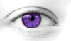 auge.jpg